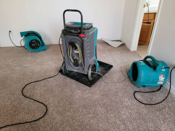 Best Professional water damage repair  in St Michael, MN