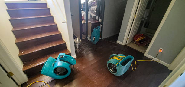 Best Carpet water damage restoration  in St Michael, MN