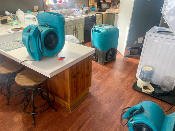Best Basement water damage restoration  in St Michael, MN