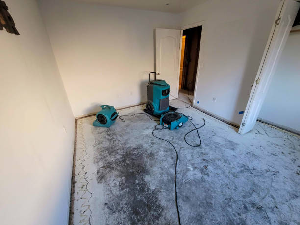 Best Ceiling water damage repair  in St Michael, MN