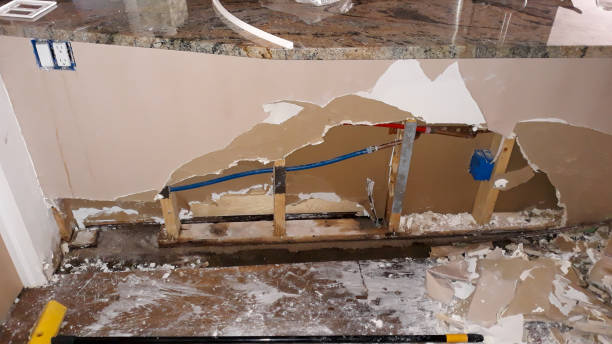 Best Water damage restoration near me  in St Michael, MN