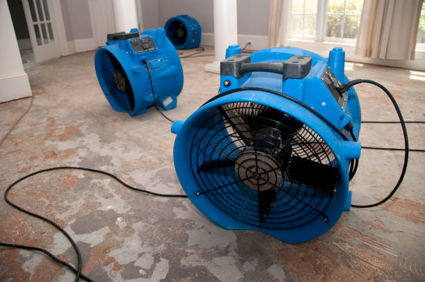Best Fire Damage Restoration  in St Michael, MN