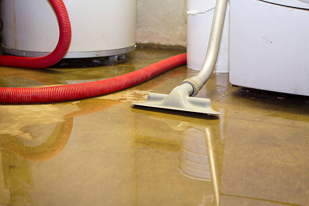 Best Flood restoration services  in St Michael, MN