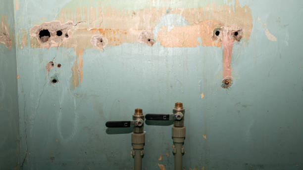 Professional Water damage restoration in St Michael, MN
