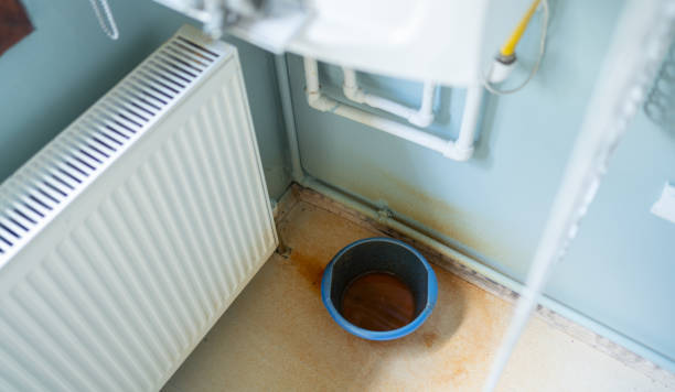 Best 24/7 water damage repair  in St Michael, MN