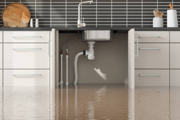 Best Water damage cleanup near me  in St Michael, MN