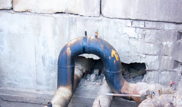 Best Sewage cleanup and water damage restoration  in St Michael, MN